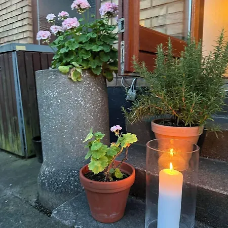 Hotel Bui Nordenbro Vesteregn
